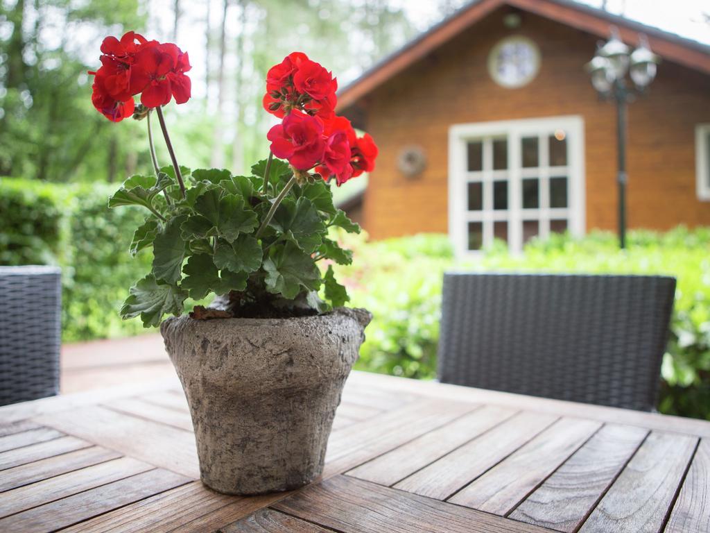 Luxurious Chalet In Oud Turnhout With Large Garden Villa Oud-Turnhout Exterior photo